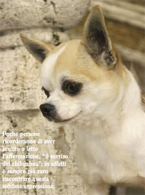 Sorride