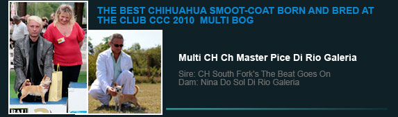 Multi Ch Master Pice Di Rio Galeria