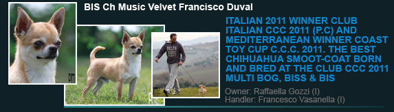 Ch Music Velvet Francisco Duval