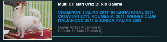 Multi Ch Mari Cruz Di Rio Galeria