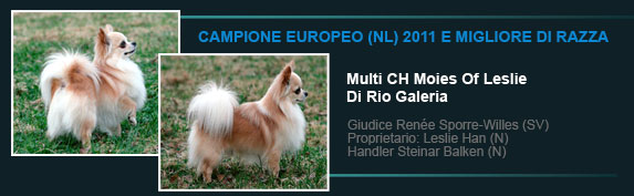 Multi CH Moies Of Leslie Di Rio Galeria