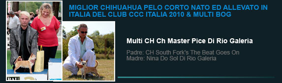 Multi Ch Master Pice Di Rio Galeria