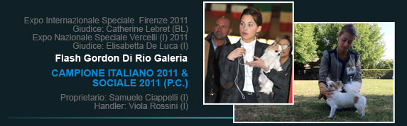 Flash Gordon Di Rio Galeria