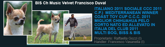Ch Music Velvet Francisco Duval