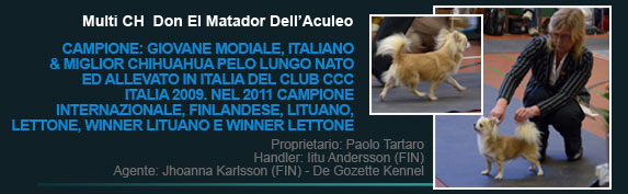 Multi Ch Don El Matador Dell'Aculeo