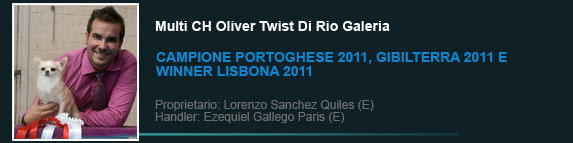 Multi Ch Oliver Twist Di Rio Galeria