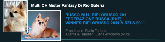 Multi Ch Mister Fantasy Di Rio Galeria