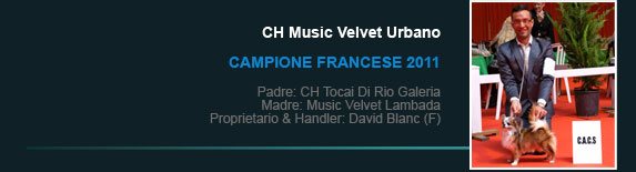 Ch Music Velvet Urbano