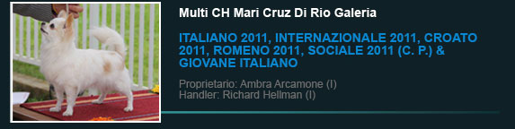 Multi Ch Mari Cruz Di Rio Galeria