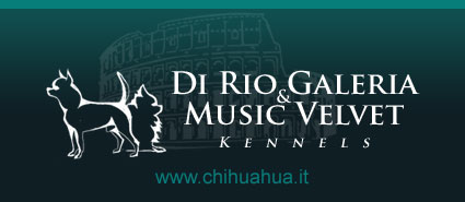 Di Rio Galeria e Music Velvet