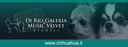 Di Rio Galeria e Music Velvet