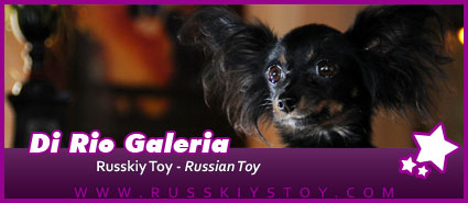 Russky Toy