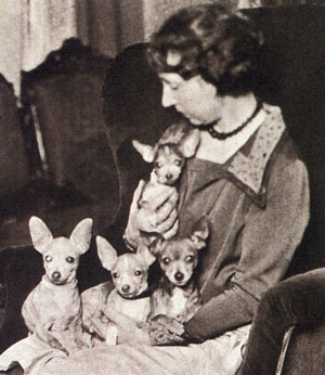 Clara-L.-Dobbs-1928-with-brood-bitch-of-Meron-strain