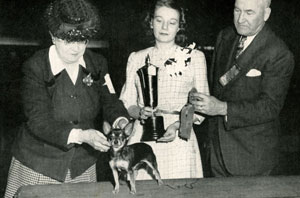 Mrs-Annna-Vinyard-showing-CH-La-Oro-Damisela-Top-Chihuahua-1946